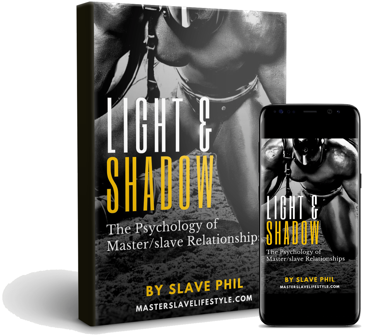 Light & Shadow book cover