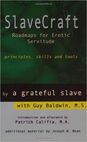 SlaveCraft book cover